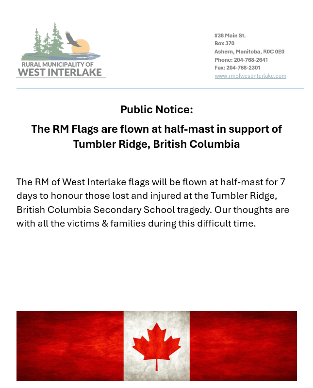 Screenshot_2026-02-12_093109